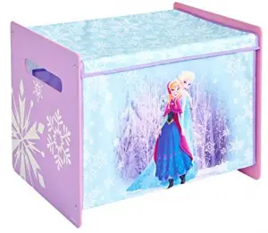 Frozen toy box