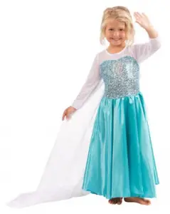 Frozen Elsa Dress Outfit